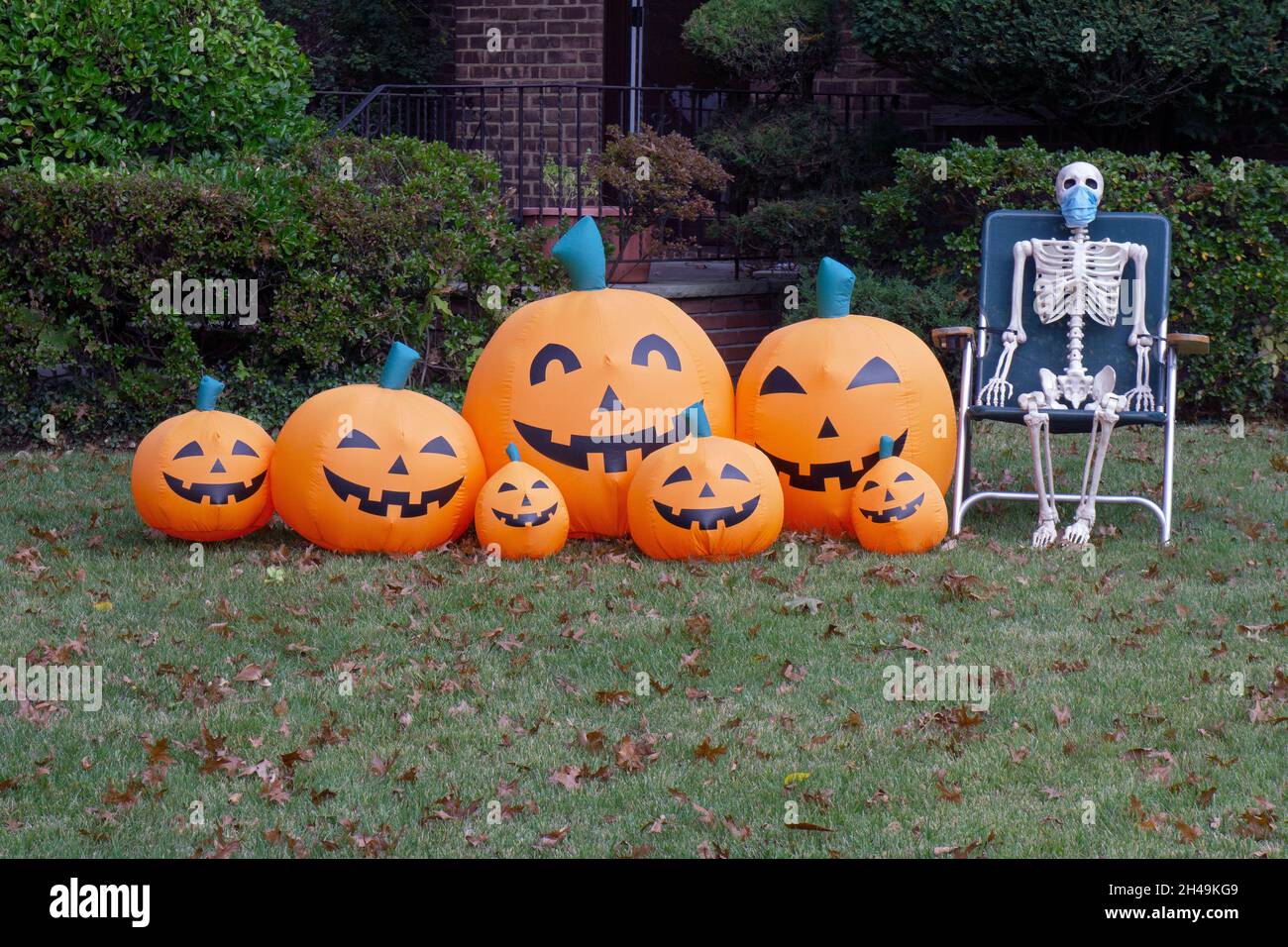 Smiling pumpkins and a mask wearing skeleton decorate a front lawn for Halloween. In Queens, New York City. Stock Photo