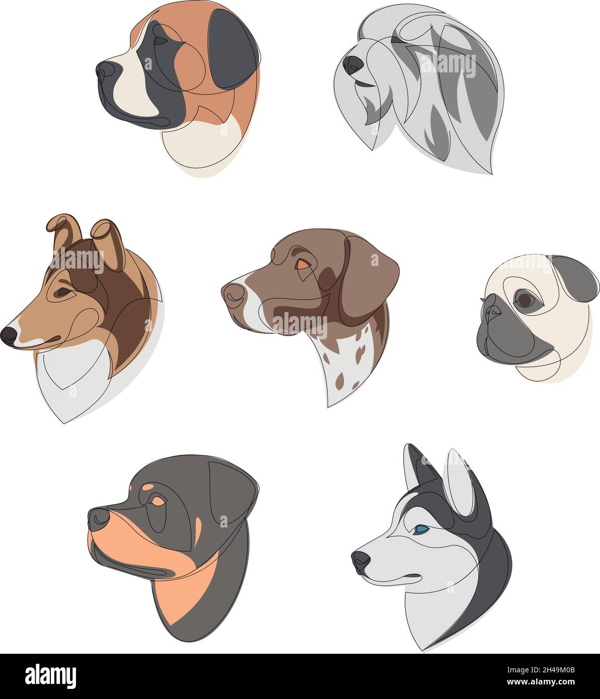Breeds of dogs drawn in minimal style set. One line dog portrait set ...