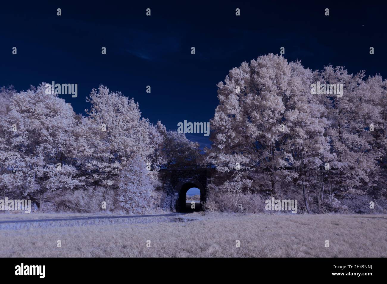 Infrared landscape with glowing white vegetation using 720nm filter ...