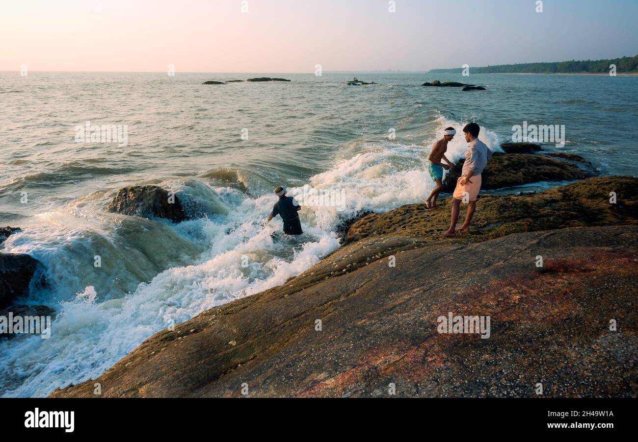Local men fishing for shell fish from large rock and among waves on Arabian Sea near coastline at sunset near Kannur, Kerala, India. Stock Photo