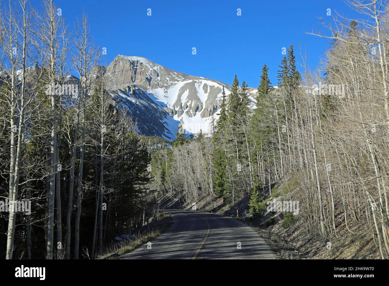 Wheeler Peak over scenic drive, Great Basin National Park, Nevada Stock Photo