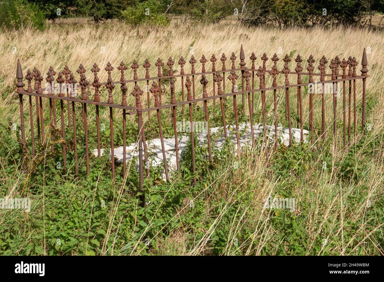 A slab grave surrounded by rusting iron railings many broken in long grass at St John the Baptist church Wantisden Suffolk Stock Photo