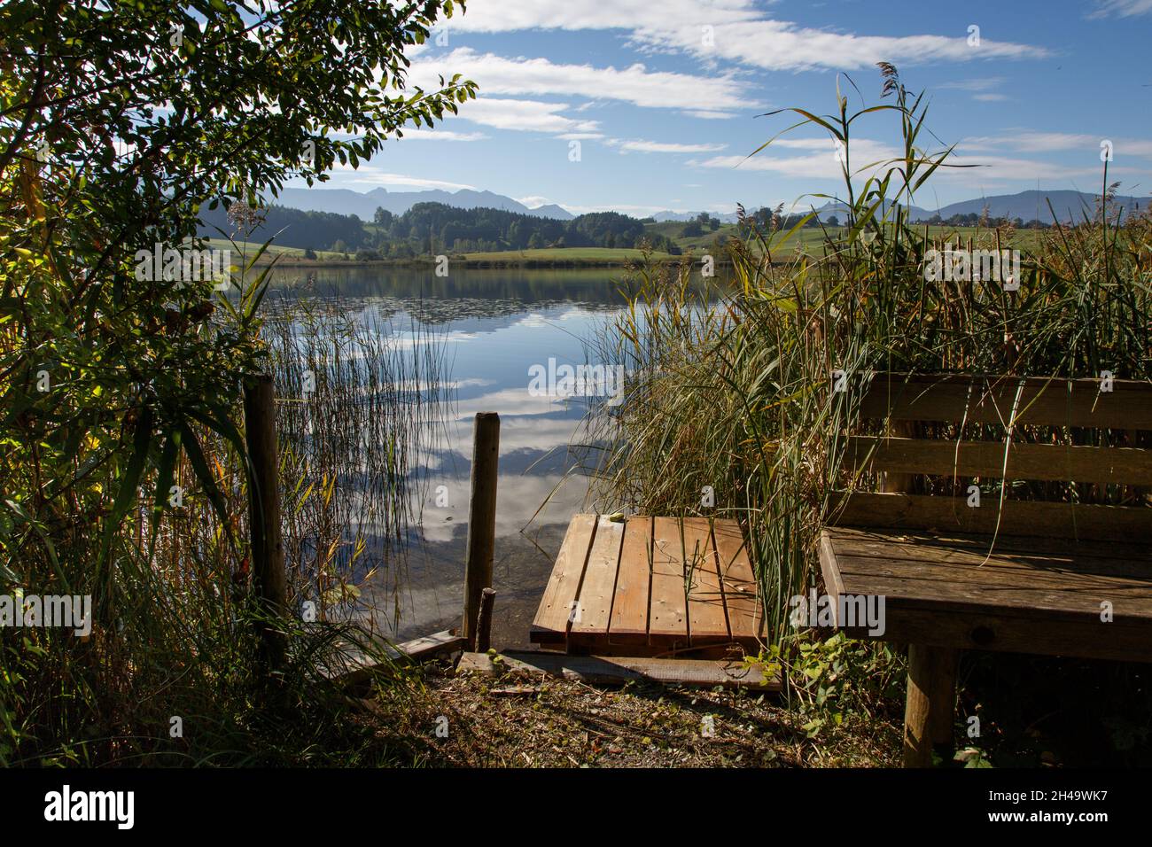 secretive bathing place on the lake with reeds and water lilies and in the background the Alps Stock Photo