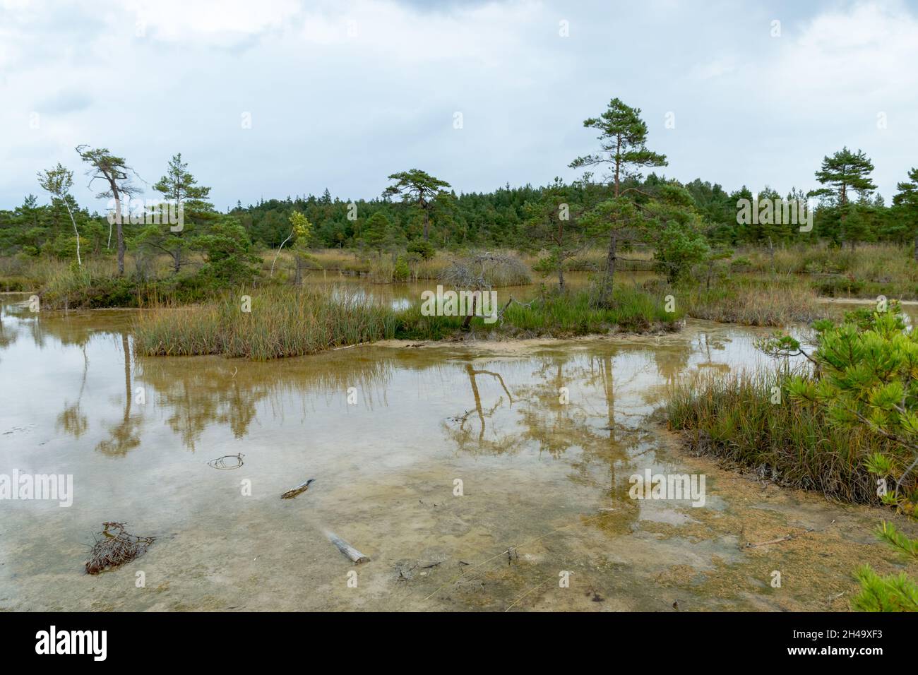 landscape with Sulfur Pond, which are water llamas formed on the ...