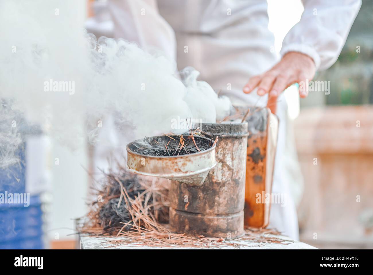 Close-up of bee smoker smoking bees Stock Photo - Alamy