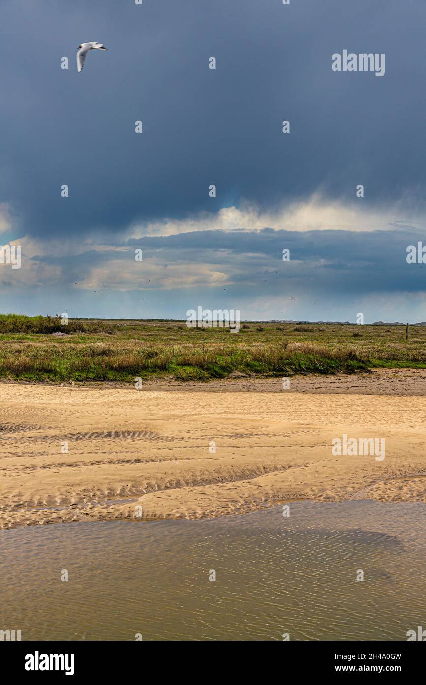 A rain storm approaching the River Glaven on the Blakeney National Nature Reserve at Blakeney, Norfolk UK Stock Photo