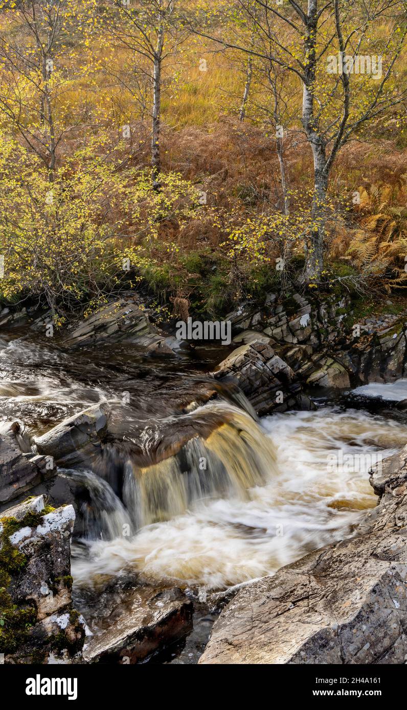 Fast flowing river rocks trees hi-res stock photography and images - Alamy