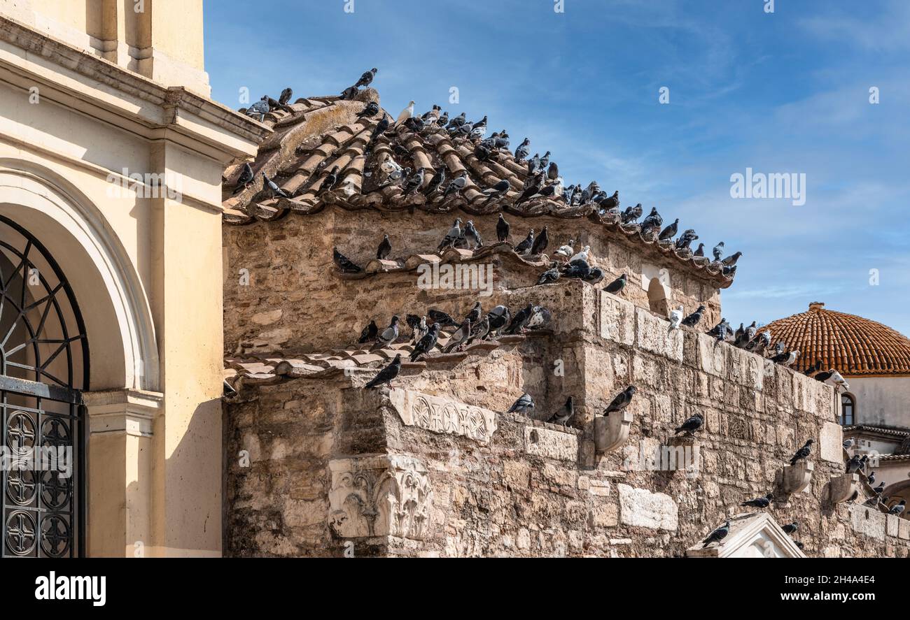 Many pigeons on church roof. Stock Photo