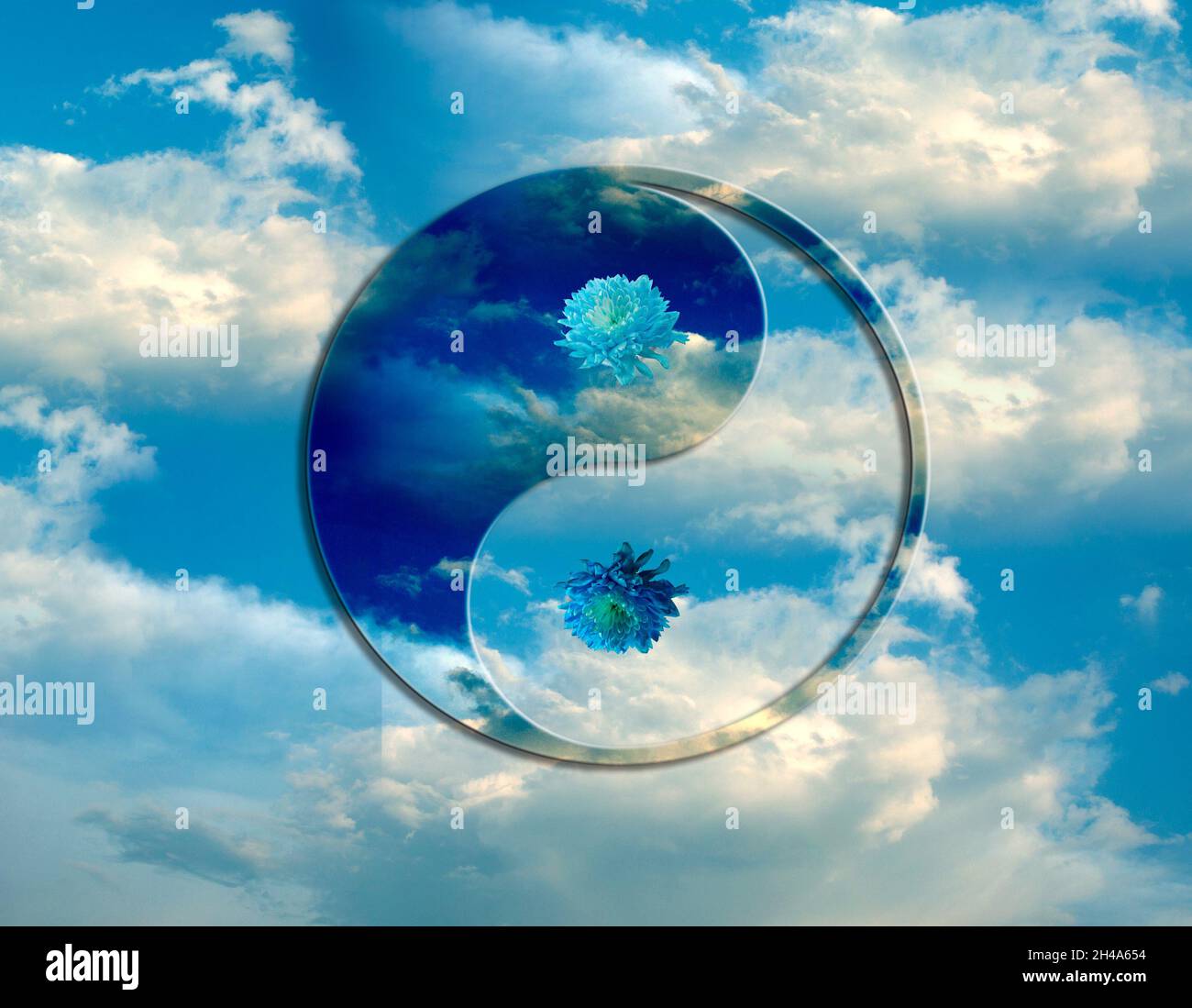 yin yang symbol over beautiful cloudy sky with blue flowers daisy