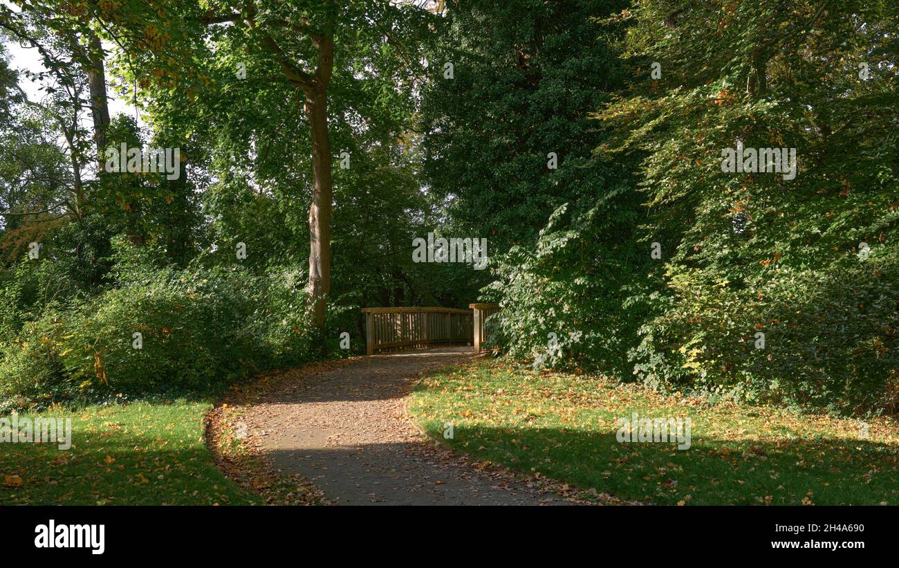 Eine klein Holzbrücke im Georgengarten in Hannover, Herbst, Impressionen in  Oktober, Deutschland / Germany Stock Photo - Alamy