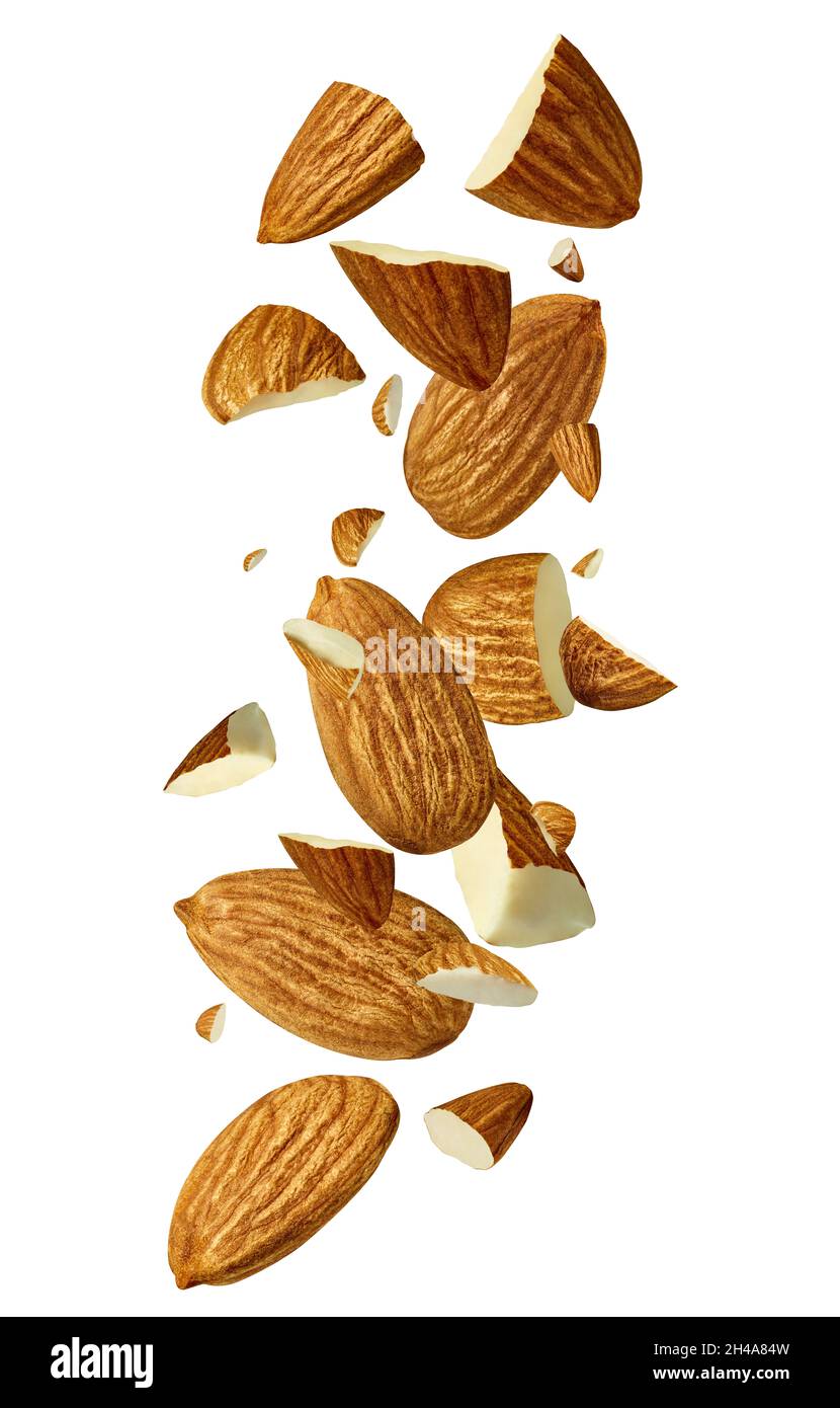 almond nut food healthy organic natural ingredient snack isolated seed