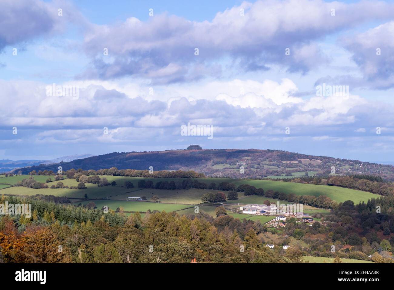May Hill, Gloucestershire. UK Stock Photo Alamy