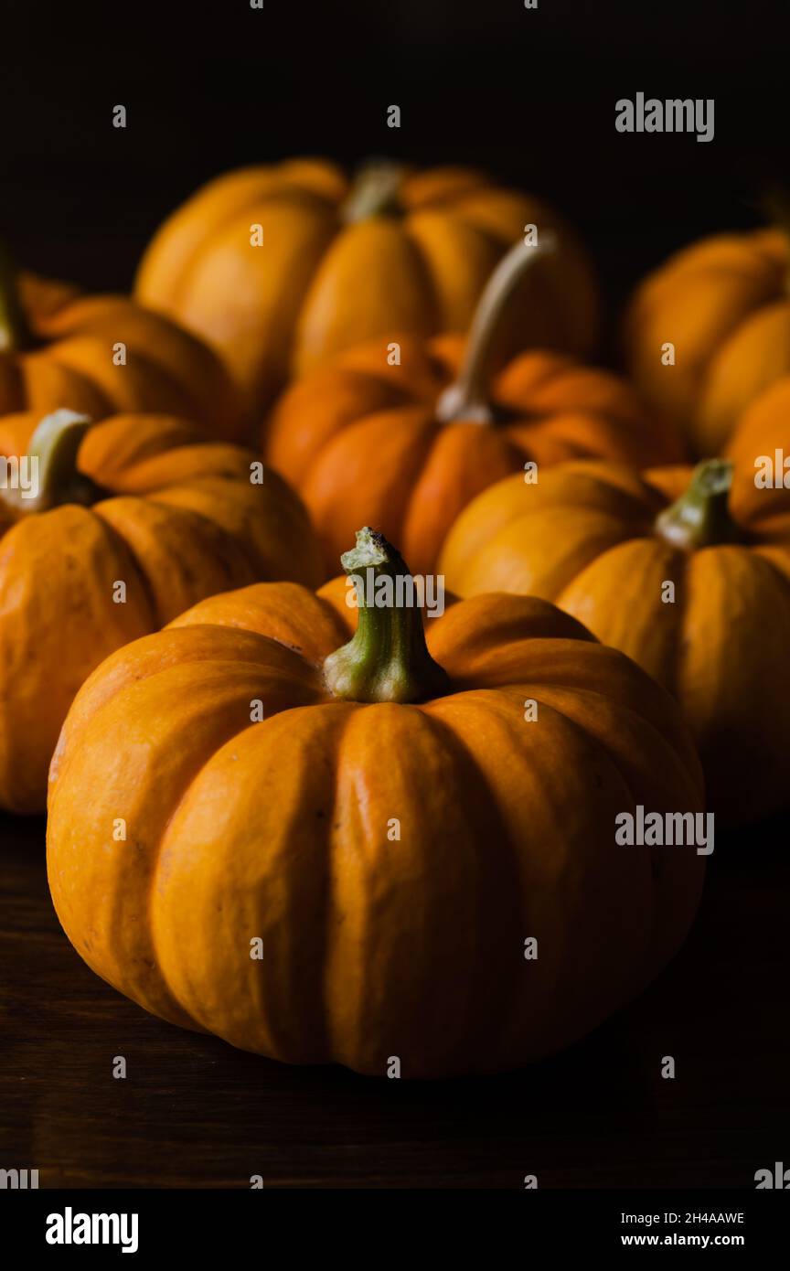 Small Pumpkins on a Table with Black Background Stock Photo