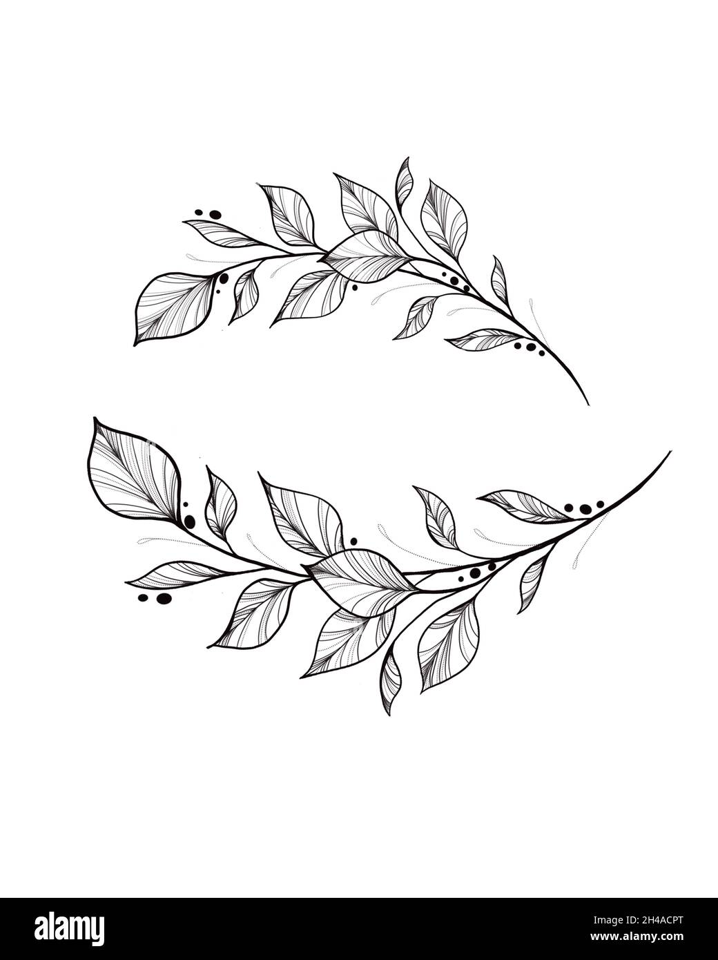 botany tattoo sketch - beautiful twig plant. Botanical element template ...