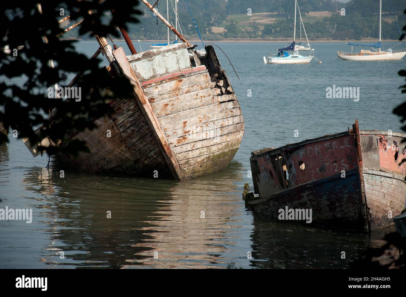 Ruined Boats on the River Orwell at Pin Mill, Suffolk, UK.  Badly damaged boats capsized. Yachts in the background. Stock Photo