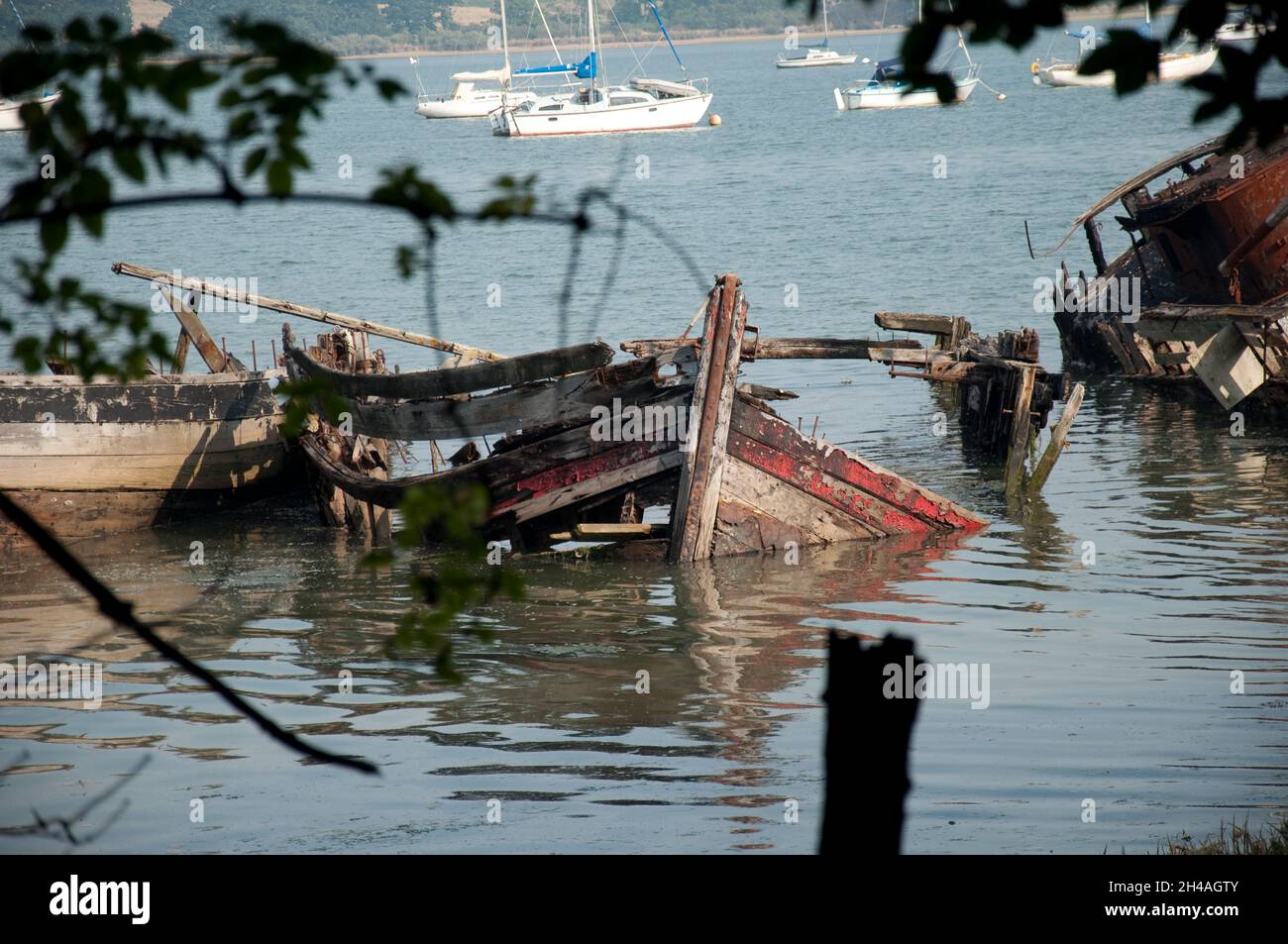 Ruined Boat on the River Orwell at Pin Mill, Suffolk, UK. Yachts in the background. Stock Photo