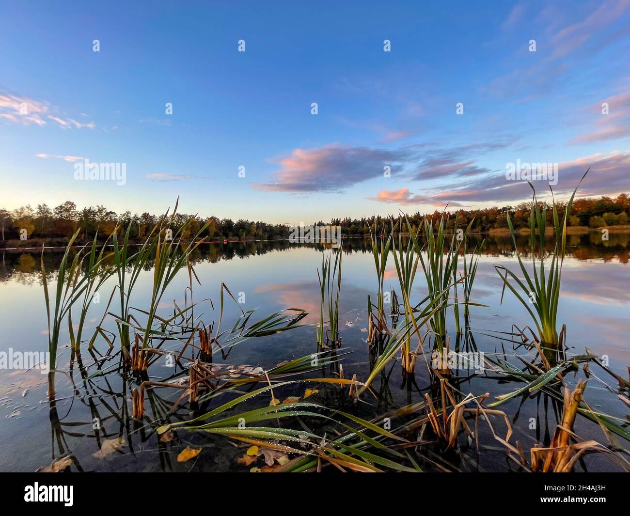 A beautiful little lake in Hesse, Germany at a sunny day in Autumn with a colorful forest reflecting in the water. Stock Photo