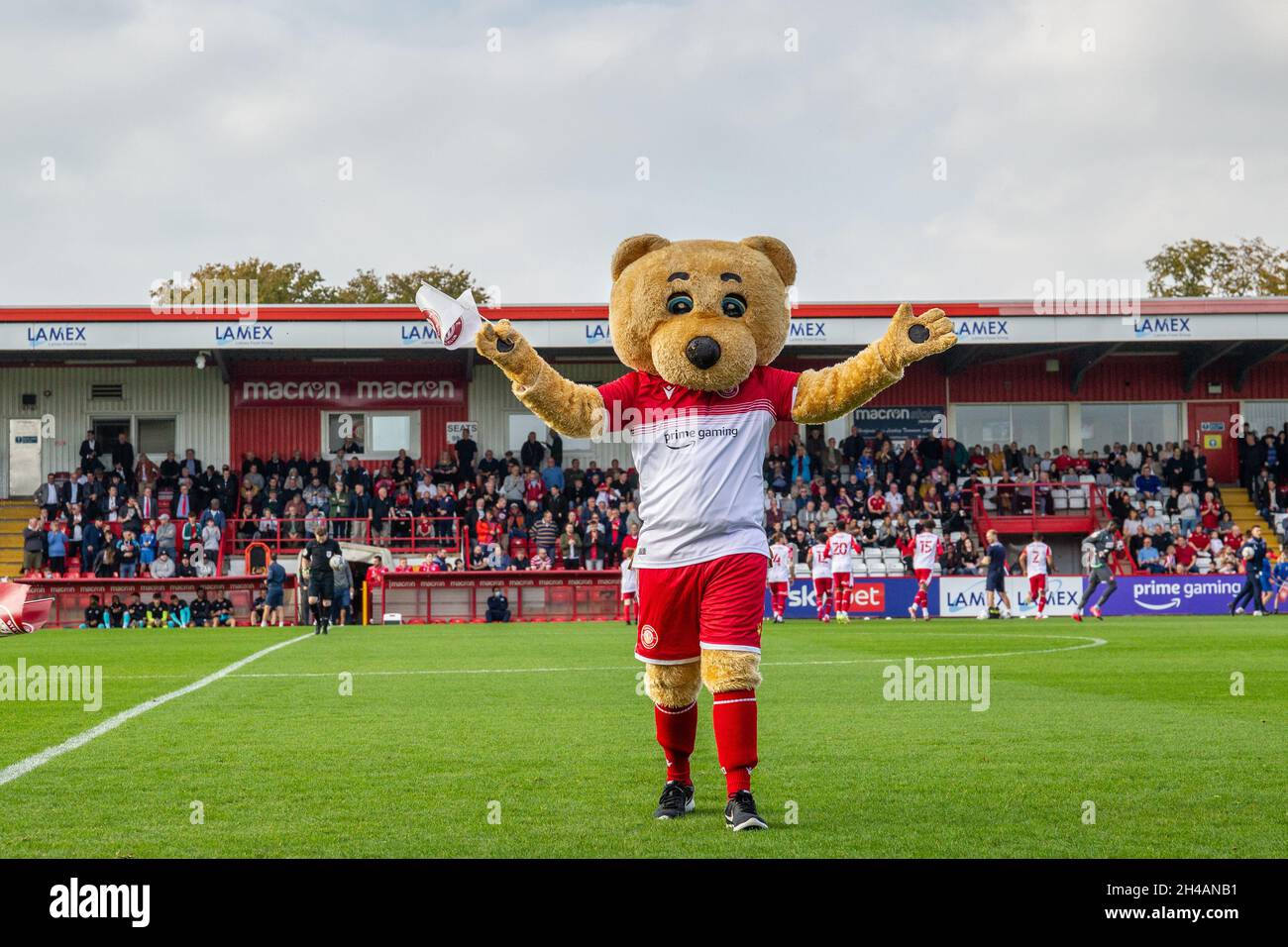 Stevenage Football Club mascot Boro Bear at Lamex Stadium before start of game Stock Photo