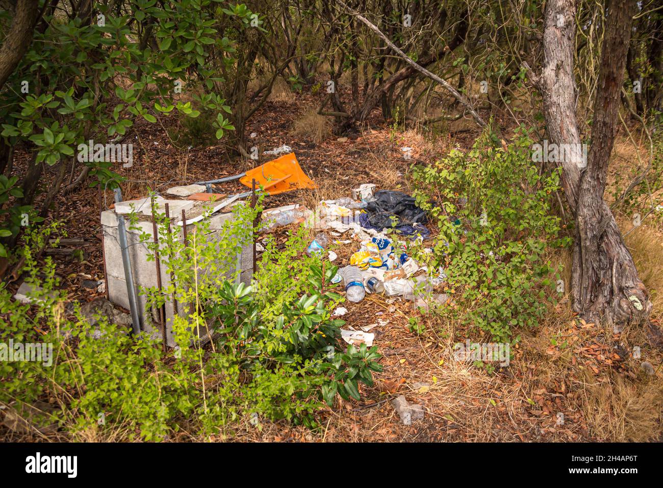 environmental pollution through irresponsible dumb of trash in national park of Elba Stock Photo