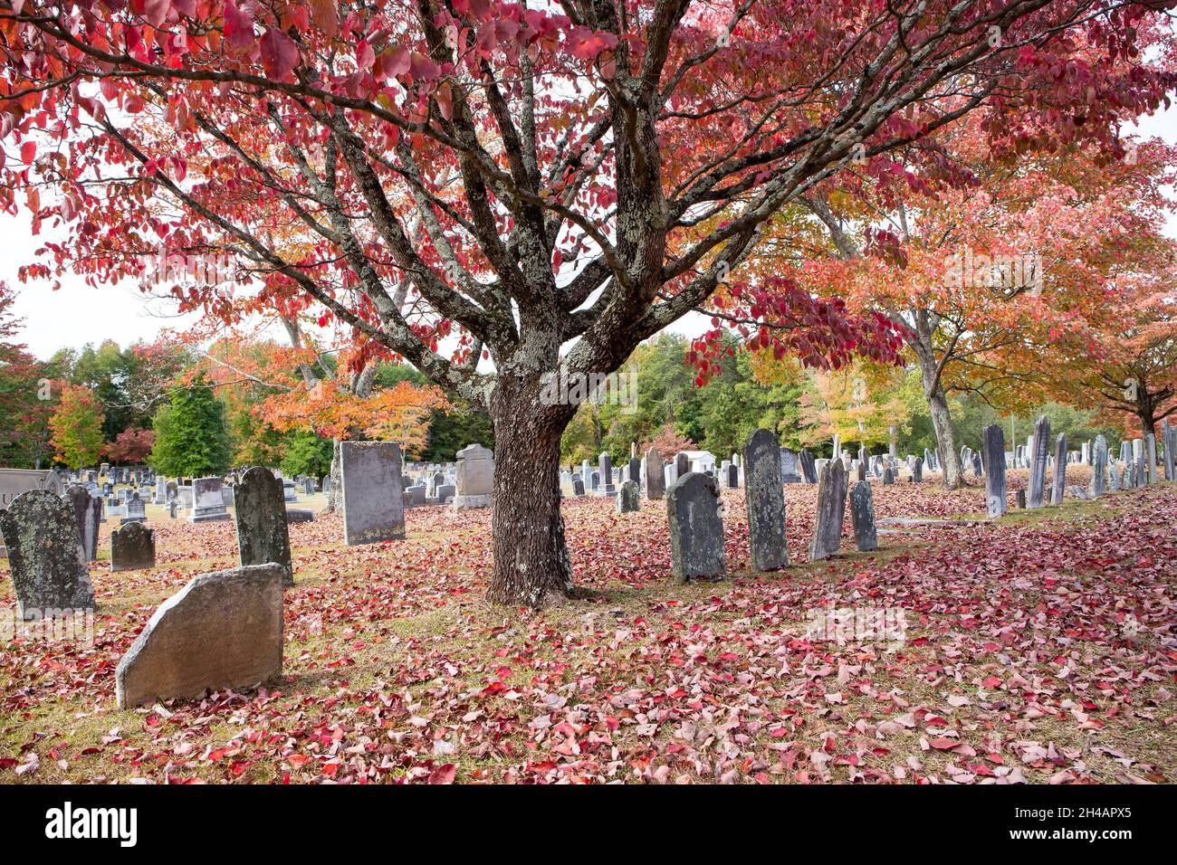 HIstoric colonial cemetery in Charlotte, North Carolina, where original