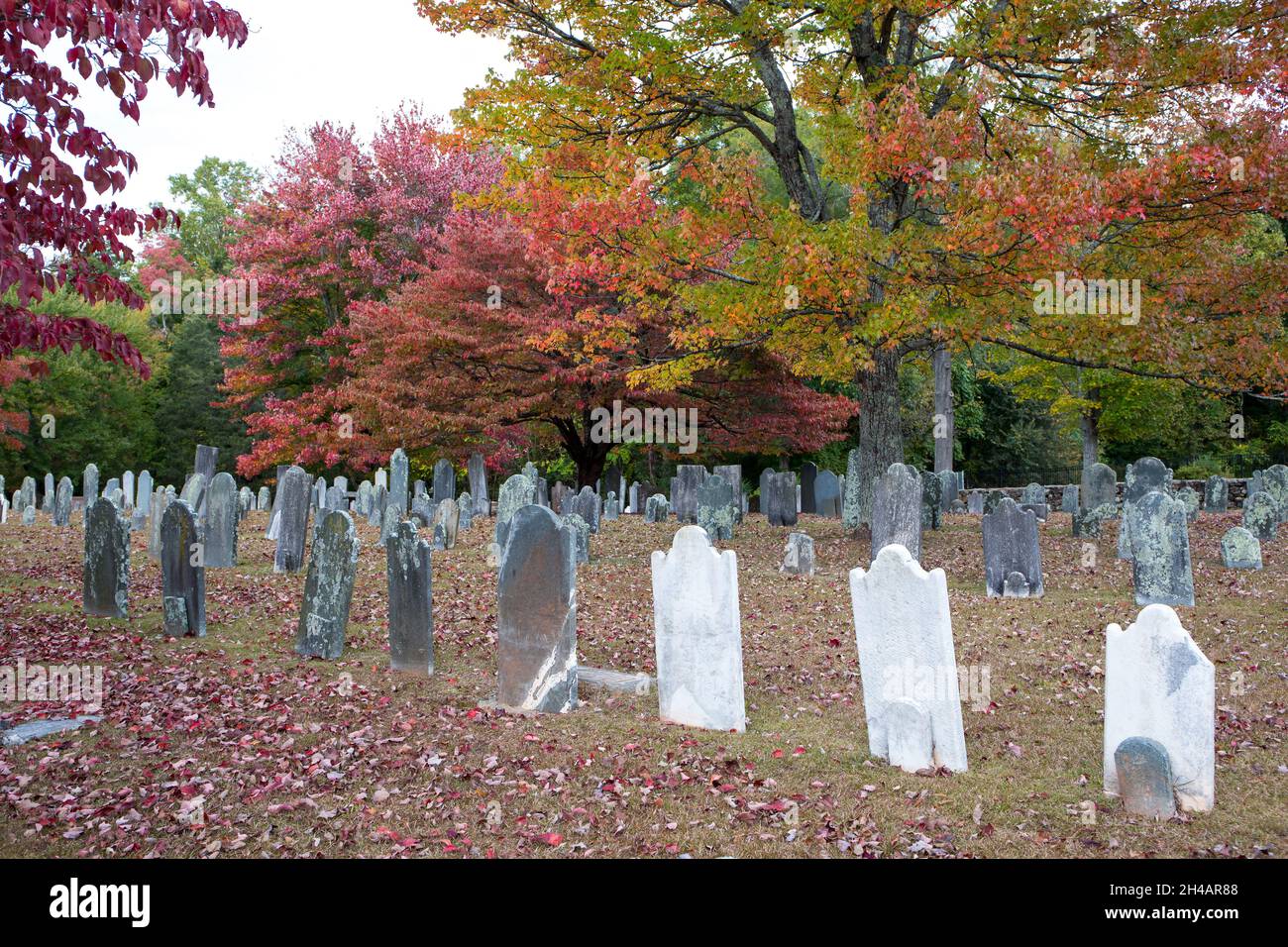 North carolina colonial hires stock photography and images Alamy(00)