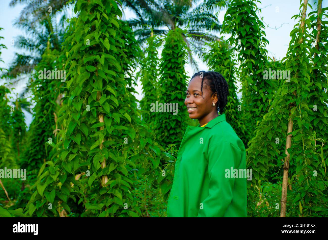 Young african woman working hi-res stock photography and images - Alamy