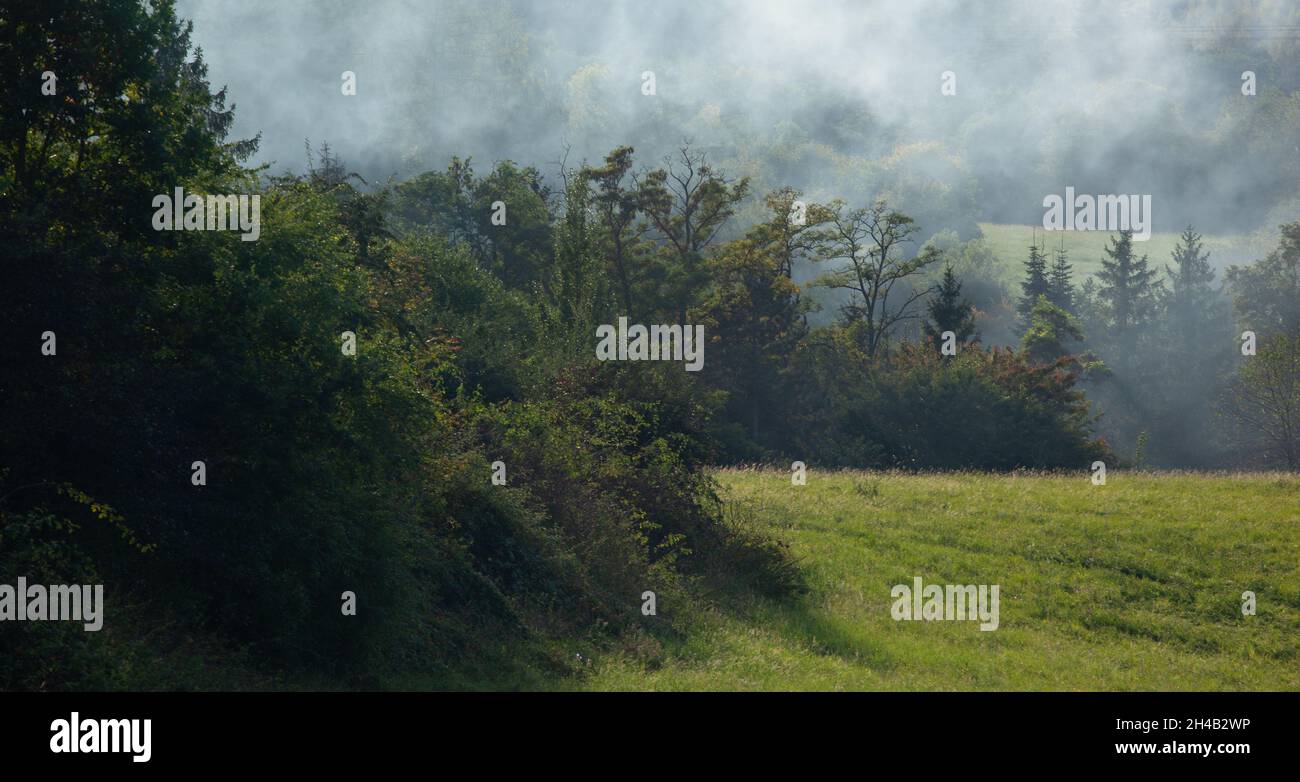 Dense natural landscape hi-res stock photography and images - Alamy