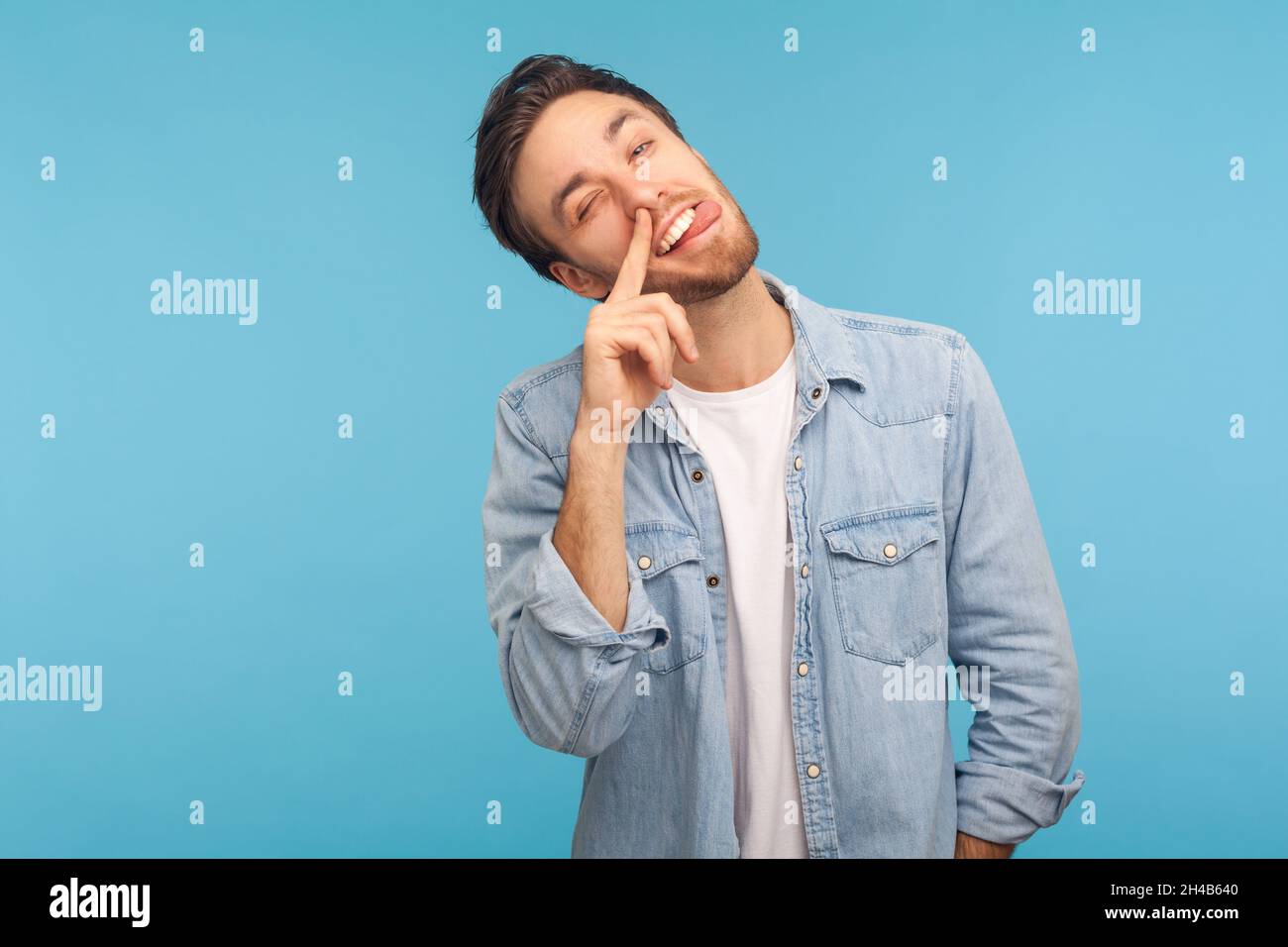 Portrait of funny man wearing denim shirt, putting finger into his nose and showing tongue, fooling around, bad habits, disrespectful behavior. Indoor studio shot isolated on blue background. Stock Photo
