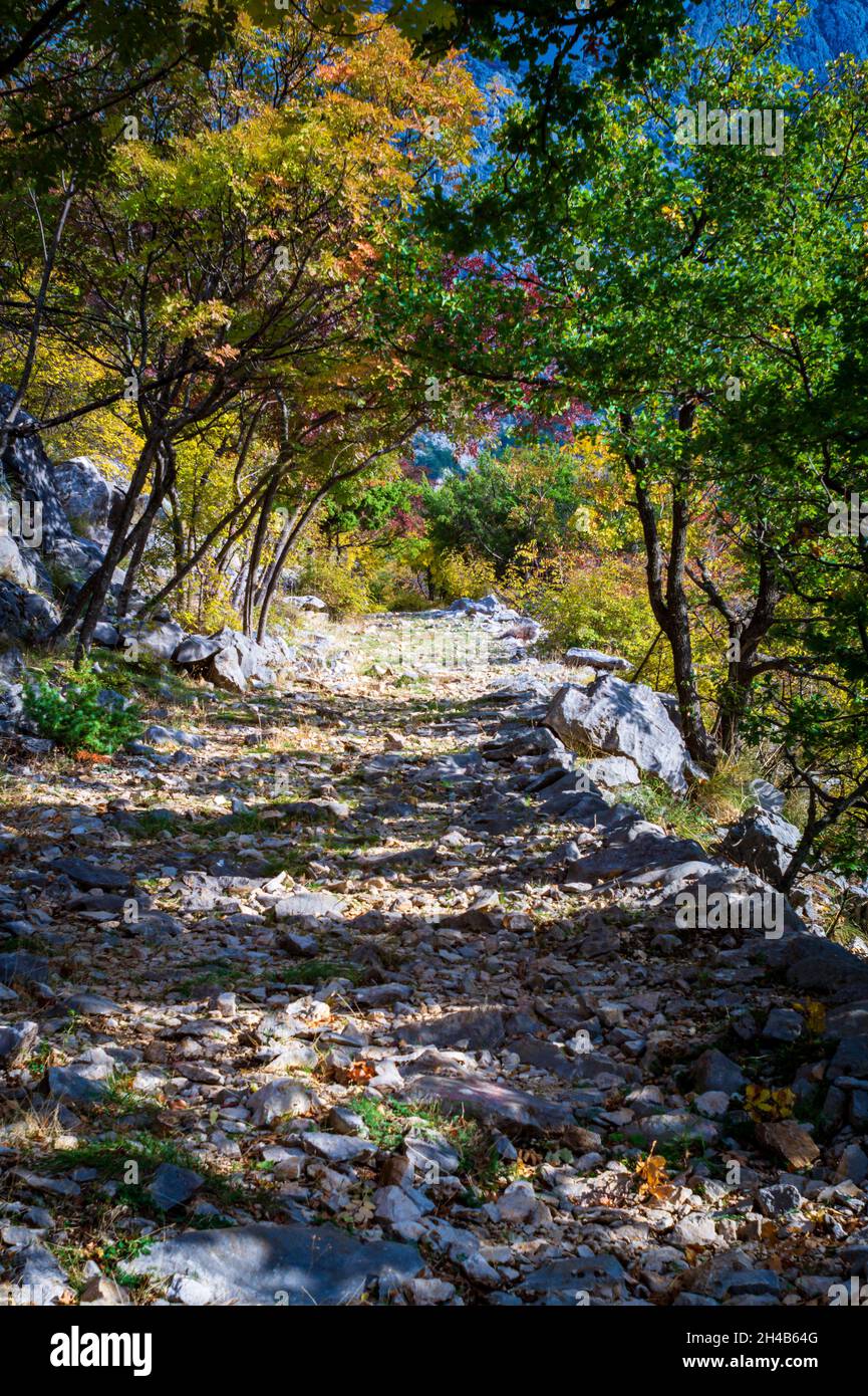 Old pathway hi-res stock photography and images - Alamy