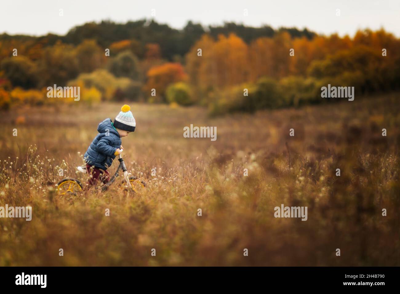 Small child in blue jacket and hat riding his push bike during a Stock Photo