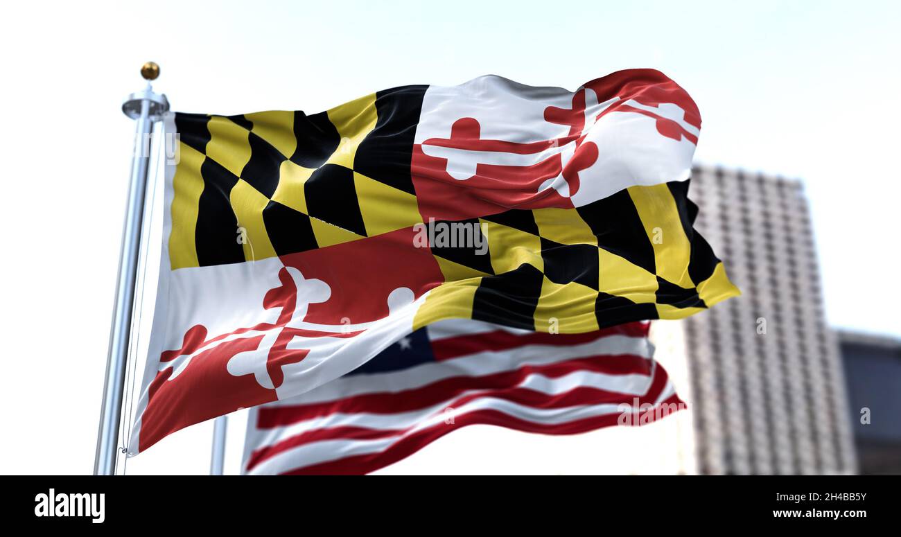 the flag of the US state of Maryland waving in the wind with the American flag blurred in the background. The flag is the 17th-century heraldic banner Stock Photo