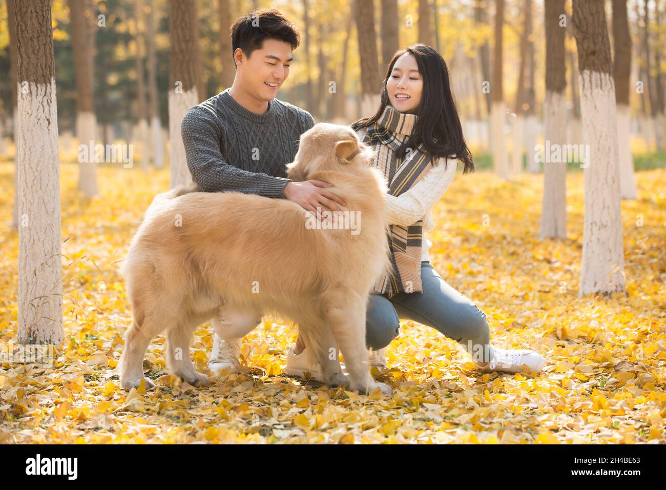 Young lovers and their pet dog playing in the woods in autumn Stock Photo