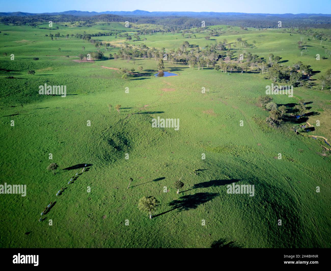 Aerial of rolling green hills of pastoral landscape for cattle grazing at Boompa near Biggenden Queensland Australia Stock Photo