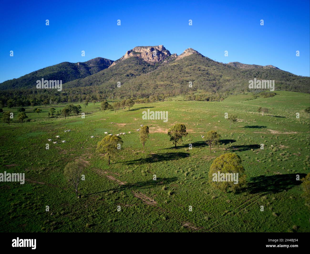 Mount Walsh National Park near Biggenden Queensland Australia Stock