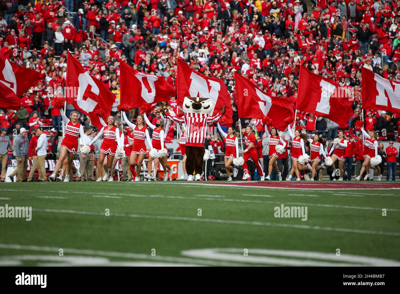 October 30, 2021 Wisconsin's mascot Bucky Badger running onto the