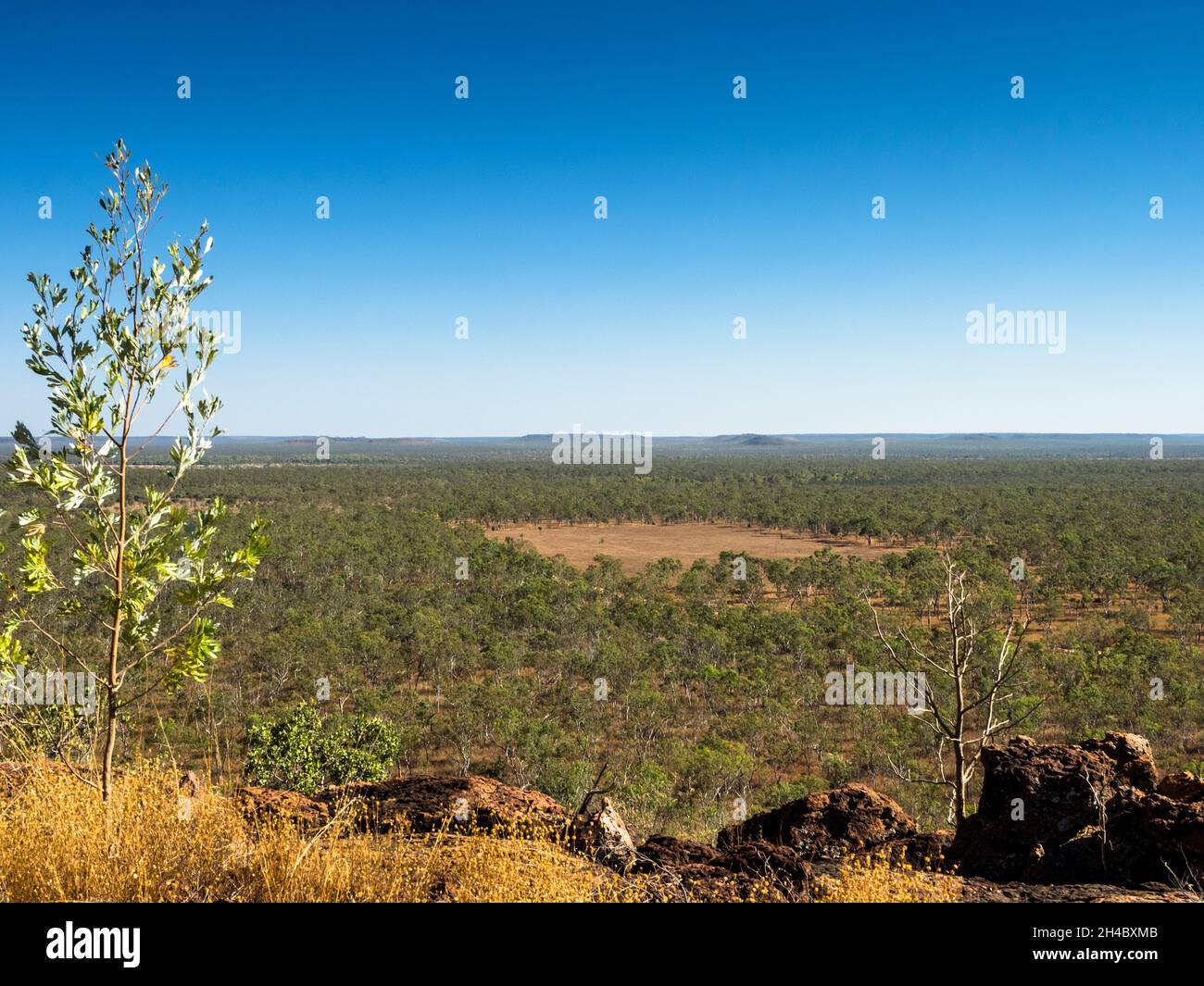 View from Mount Glemont over the savannah of Charnley River Station, West Kimberley, Western Australia Stock Photo