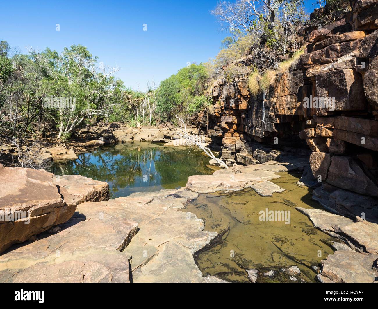 Lily Pools, Charnley River Station, West Kimberley. Stock Photo