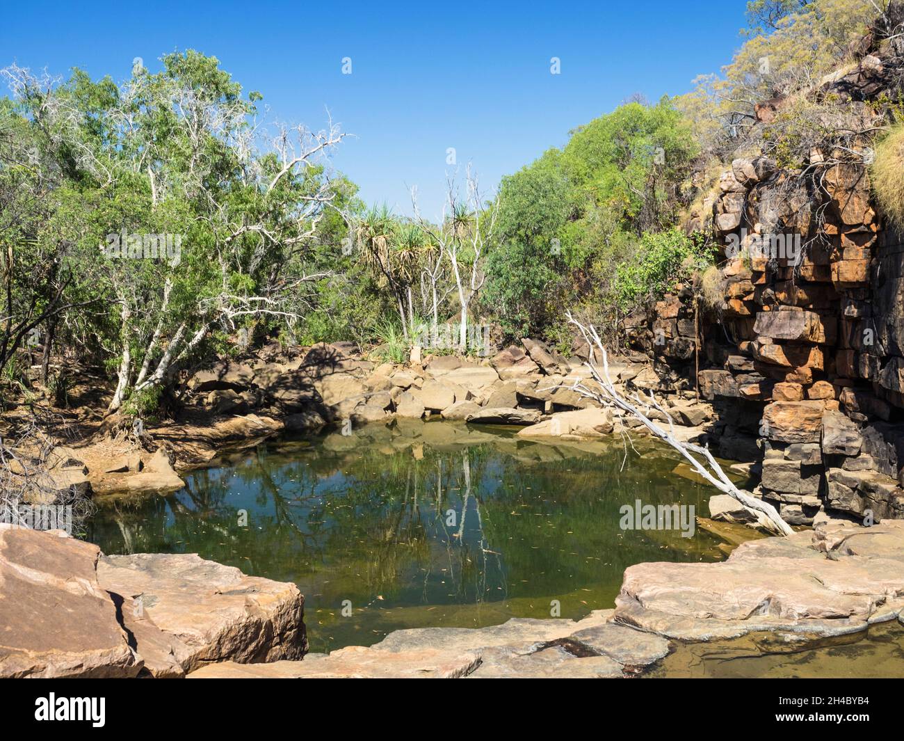 Lily Pools, Charnley River Station, West Kimberley. Stock Photo