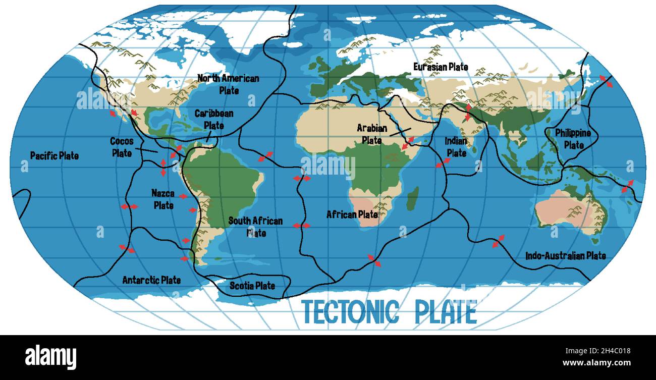 World Map Showing Tectonic Plates Boundaries illustration Stock Vector