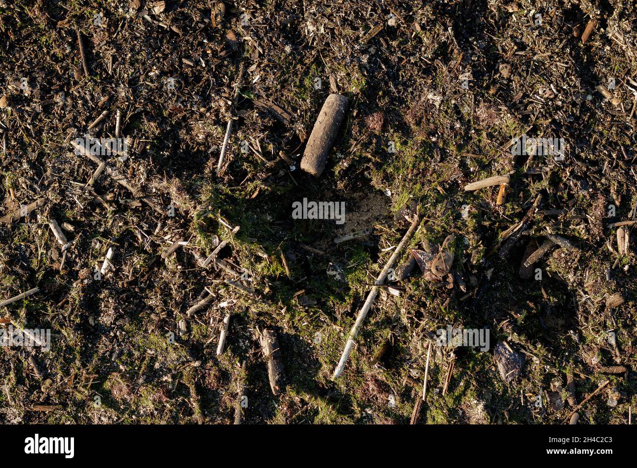 Ground Shell Wastes washed up by the sea. Old, rotten seaweed, ground shells, stones ...