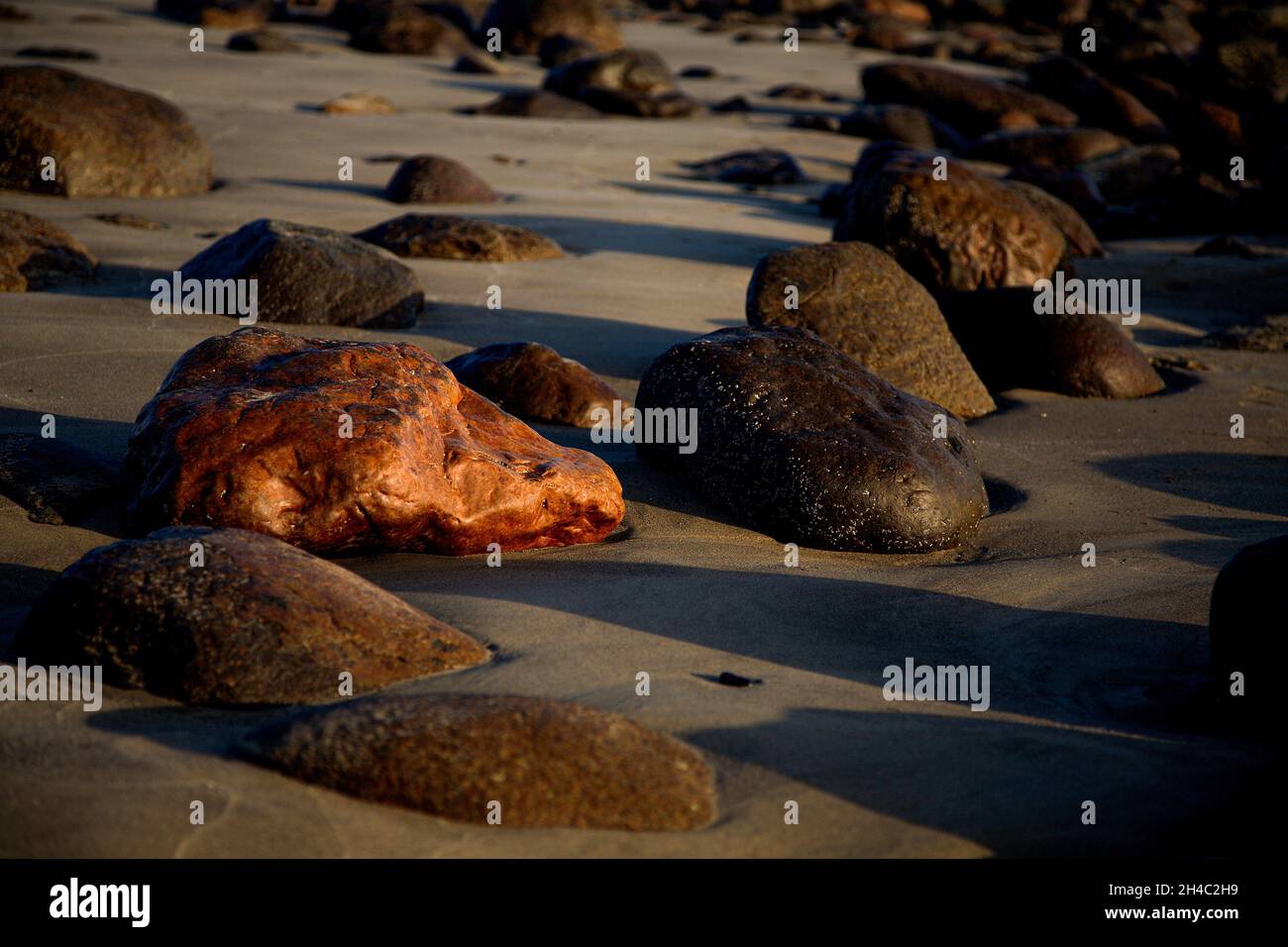 various stones lie in the sandy beach by the sea Stock Photo