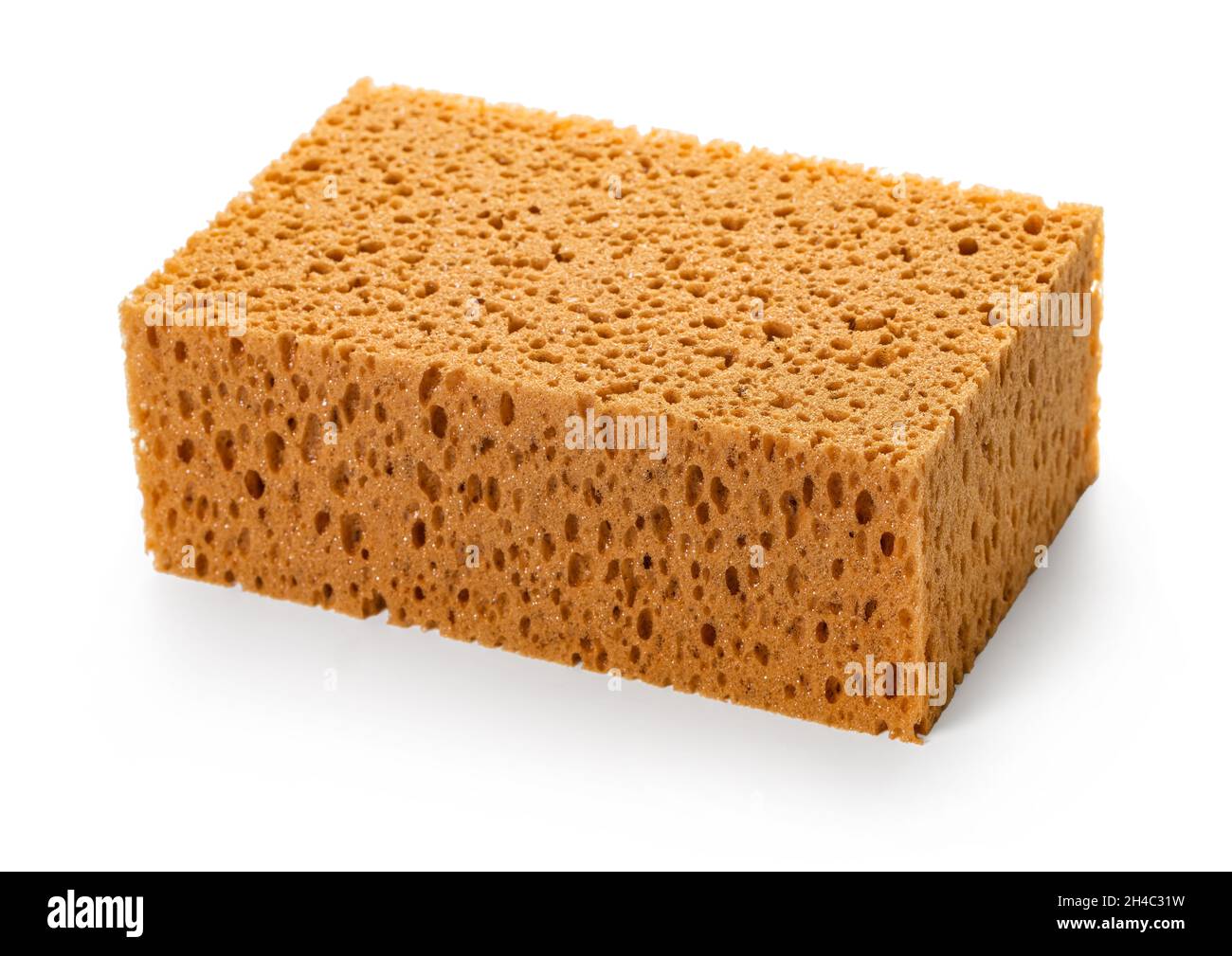 Artificial sponge structure Cut Out Stock Images & Pictures Alamy