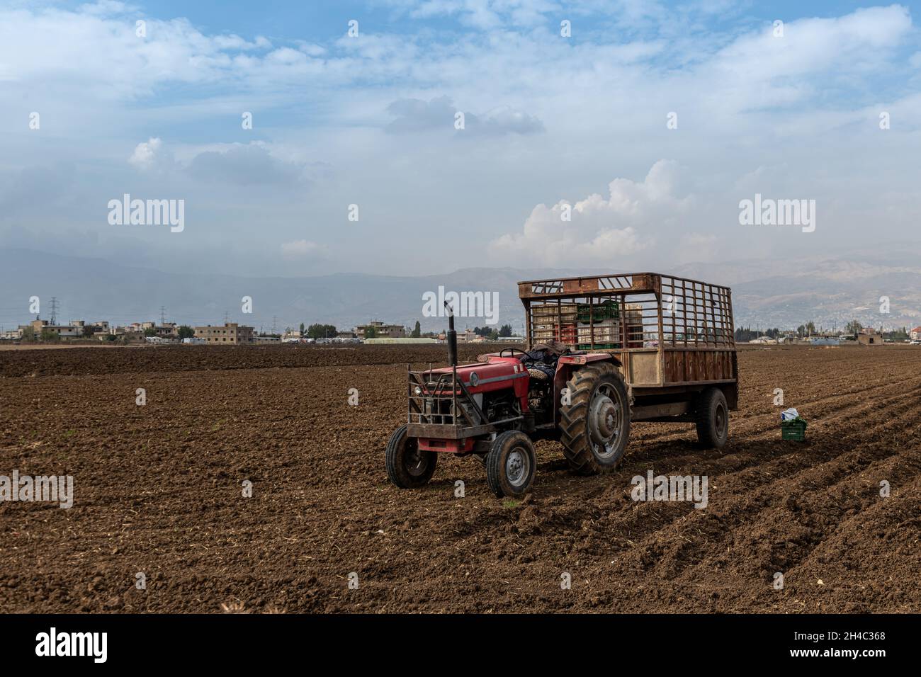 Tractor in the Bekaa Valley Fields in Autumn Stock Photo