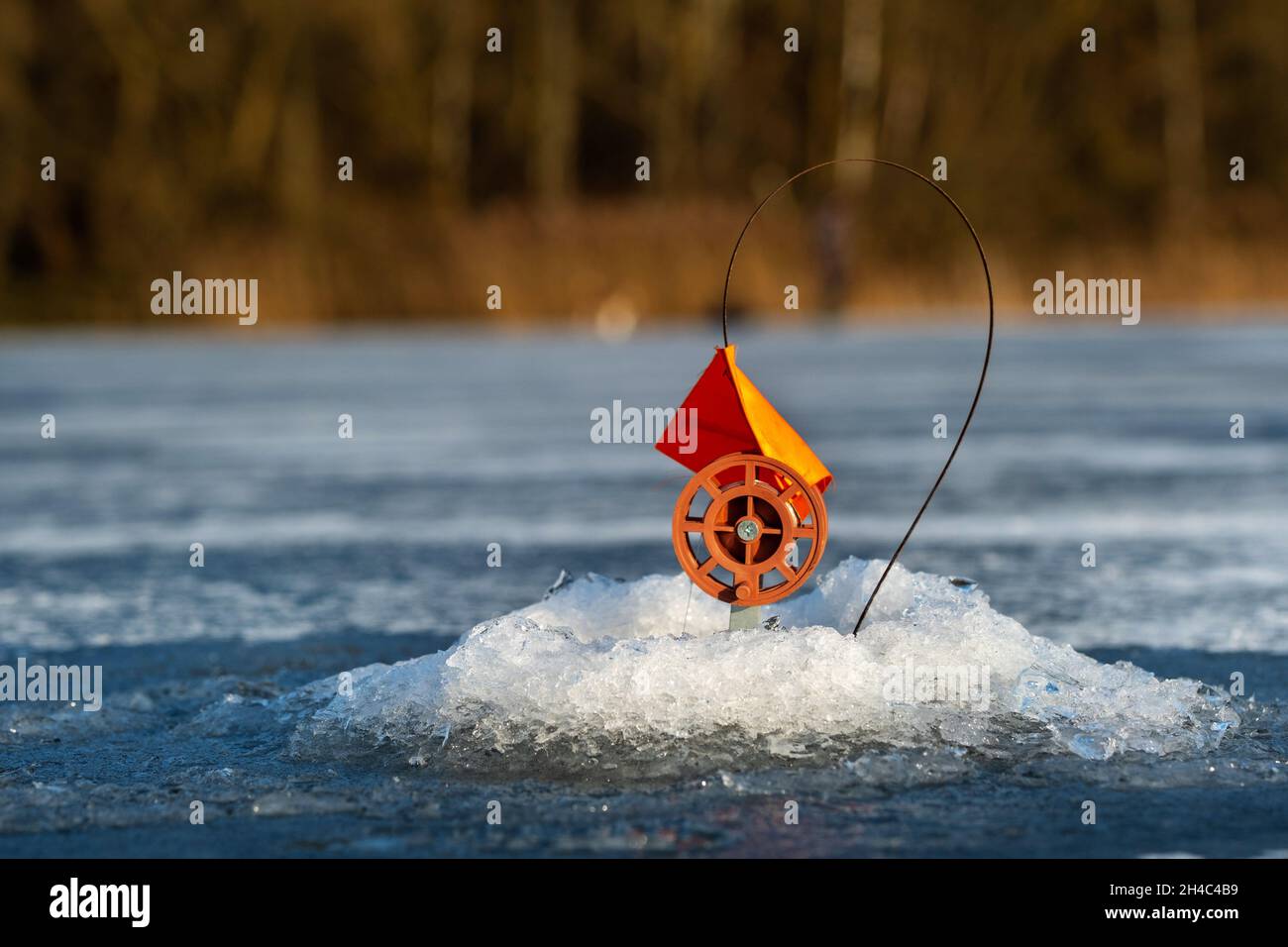 tackle for winter fishing, Fishing in the winter in the hole on live
