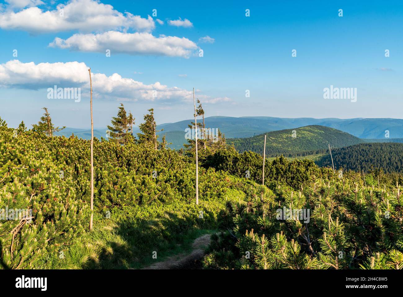 Jeseniky mountains scenery with highest Praded hill from hiking trail bellow Keprnik hill summit in Czech republic Stock Photo