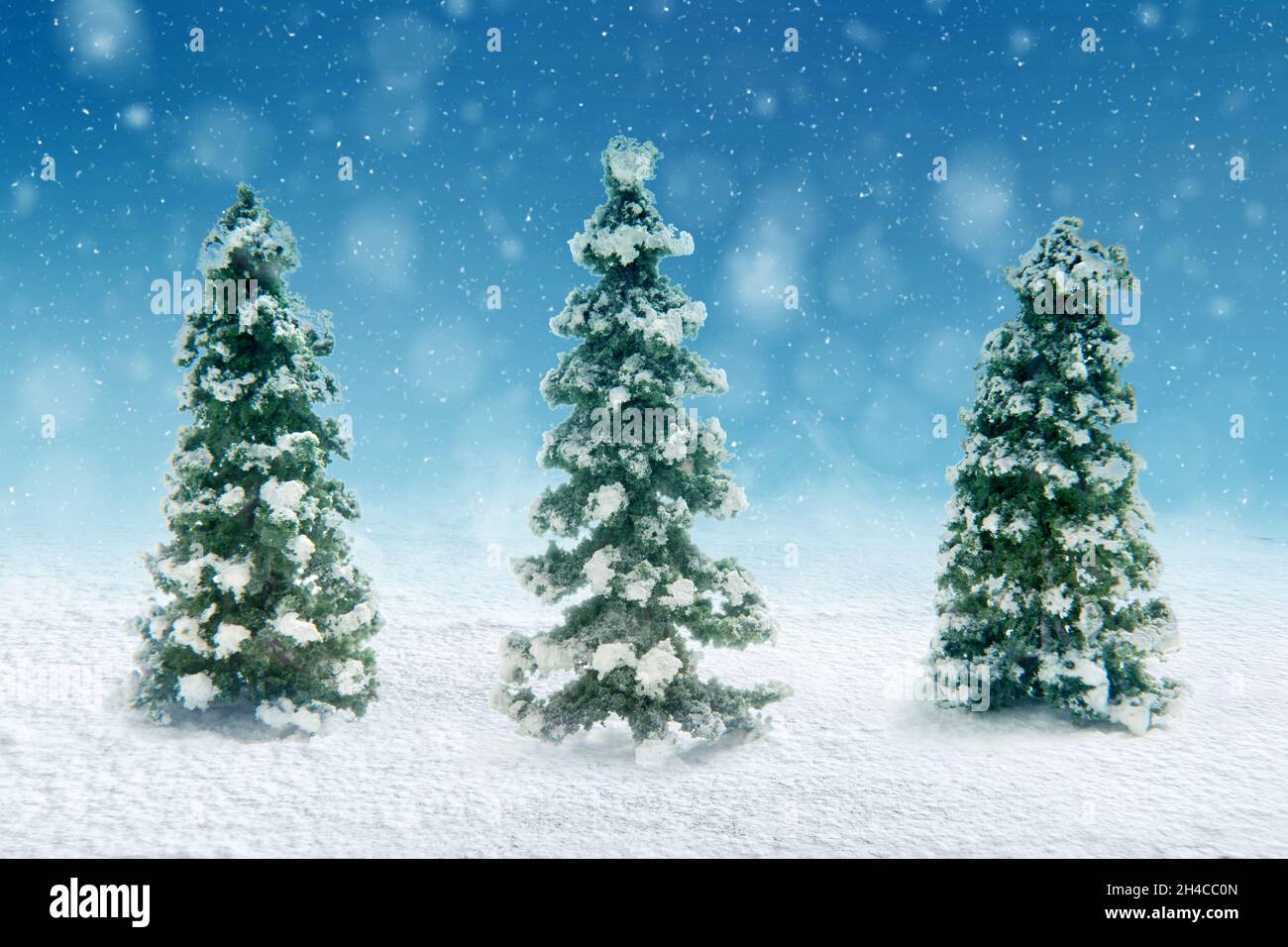 Snowy fir trees with snowfall background Stock Photo - Alamy