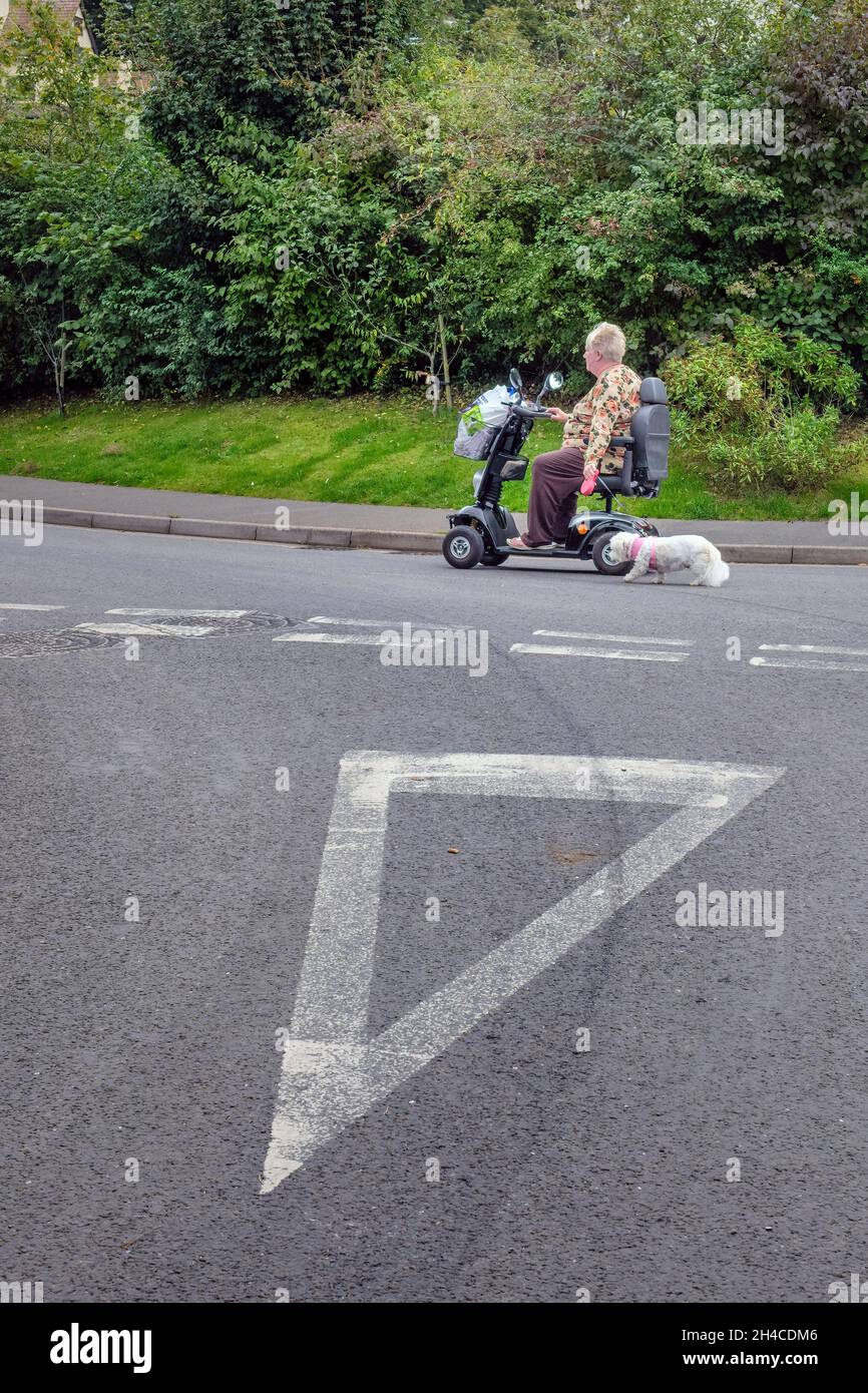 A woman walks her dog using a mobility scooter, Porlock, Somerset Stock