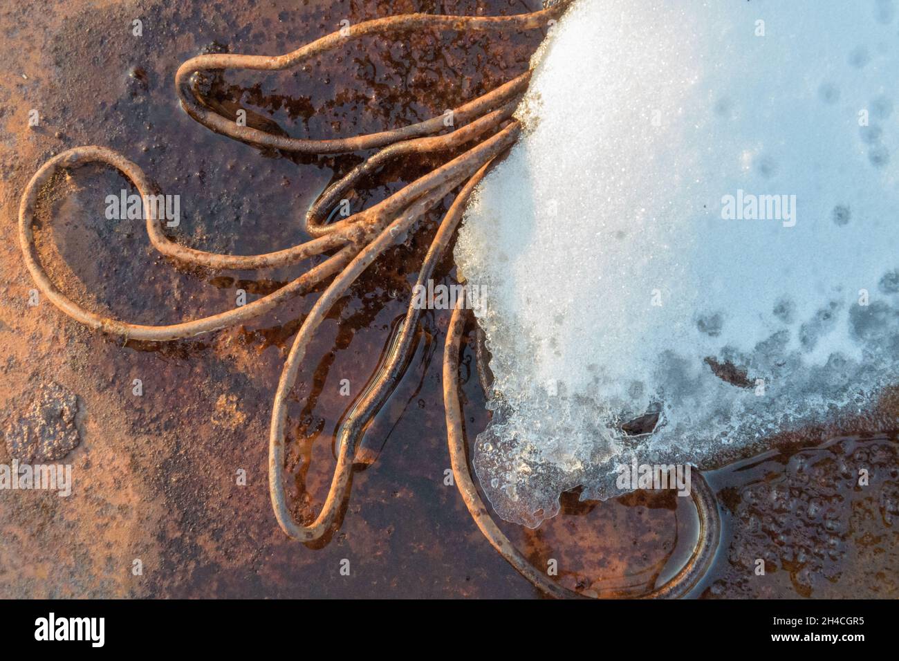 Closeup shot of a steel and snow on a rusty background Stock Photo - Alamy