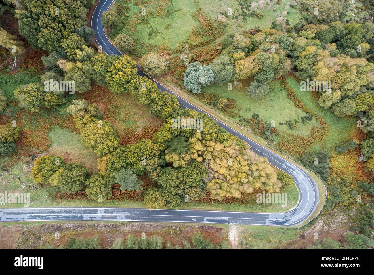 Aerial view of a winding road in a high mountain pass through dense ...