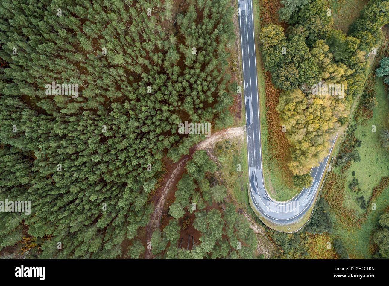 Aerial view of a winding road in a high mountain pass through dense ...